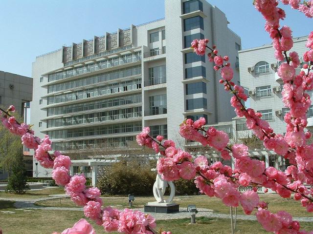 欧美大鸡鸡插进逼逼里
